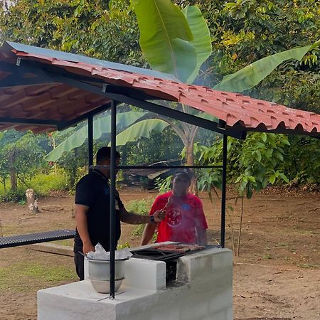 Los Amigos Jungle Hotel Tortuguero Kültér fotó