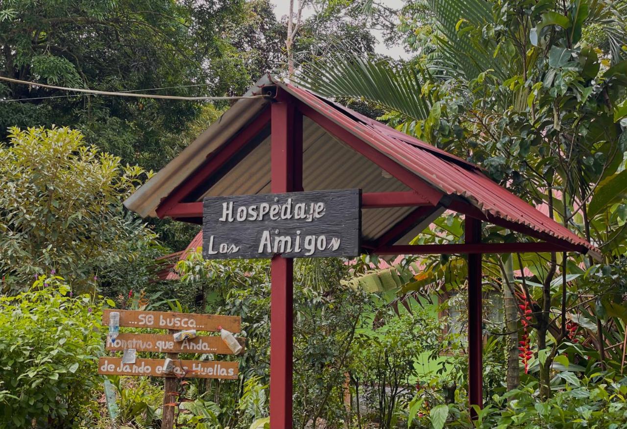 Los Amigos Jungle Hotel Tortuguero Kültér fotó