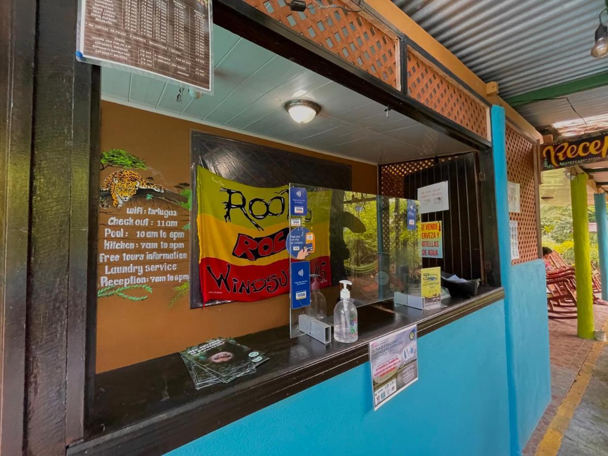 Los Amigos Jungle Hotel Tortuguero Kültér fotó