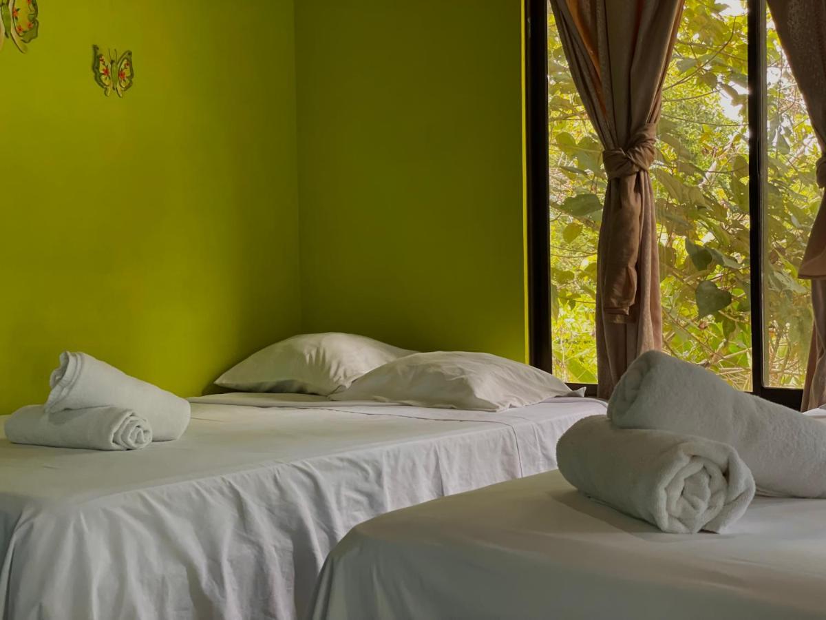 Los Amigos Jungle Hotel Tortuguero Kültér fotó
