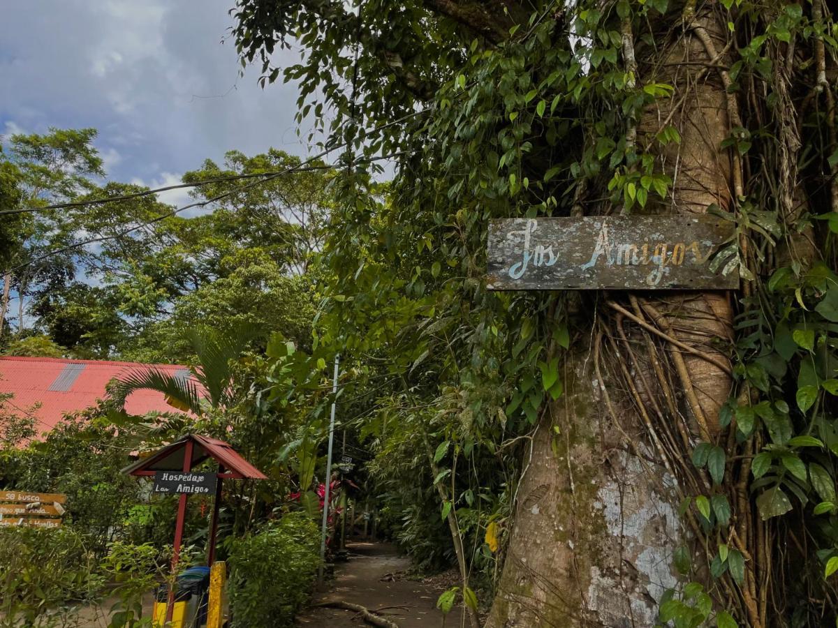 Los Amigos Jungle Hotel Tortuguero Kültér fotó