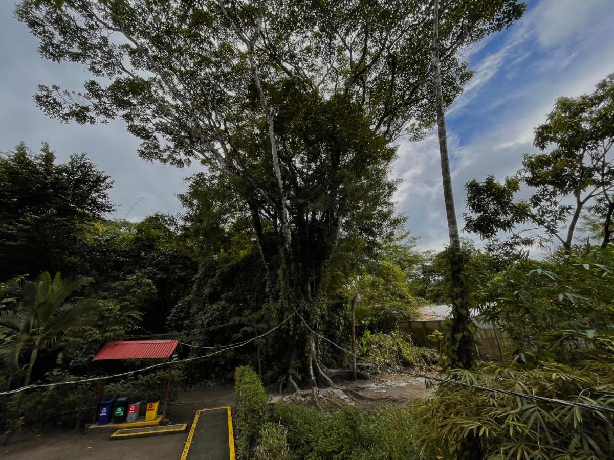Los Amigos Jungle Hotel Tortuguero Kültér fotó
