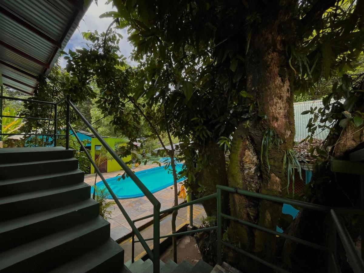 Los Amigos Jungle Hotel Tortuguero Kültér fotó