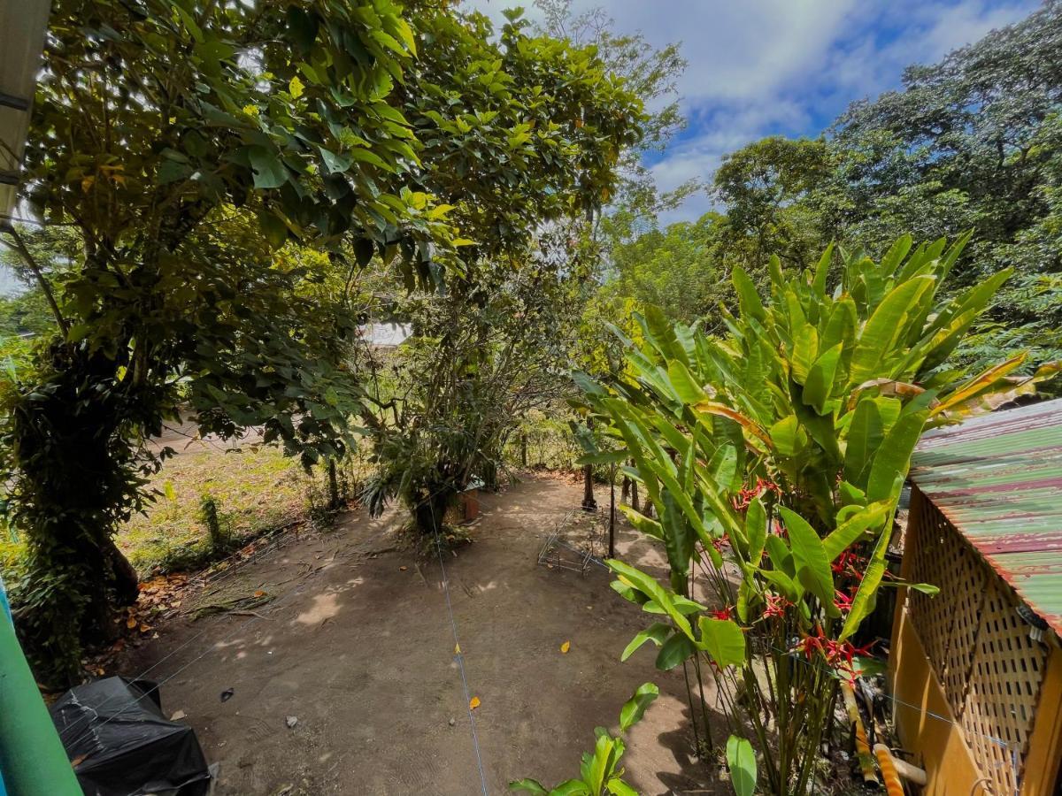 Los Amigos Jungle Hotel Tortuguero Kültér fotó