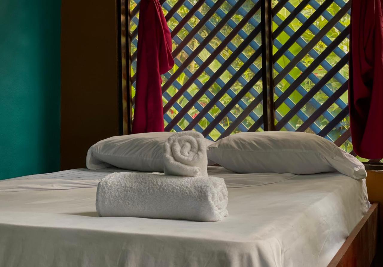 Los Amigos Jungle Hotel Tortuguero Kültér fotó