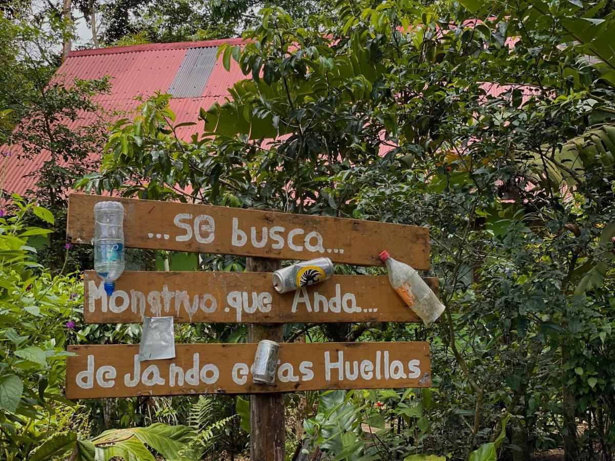 Los Amigos Jungle Hotel Tortuguero Kültér fotó