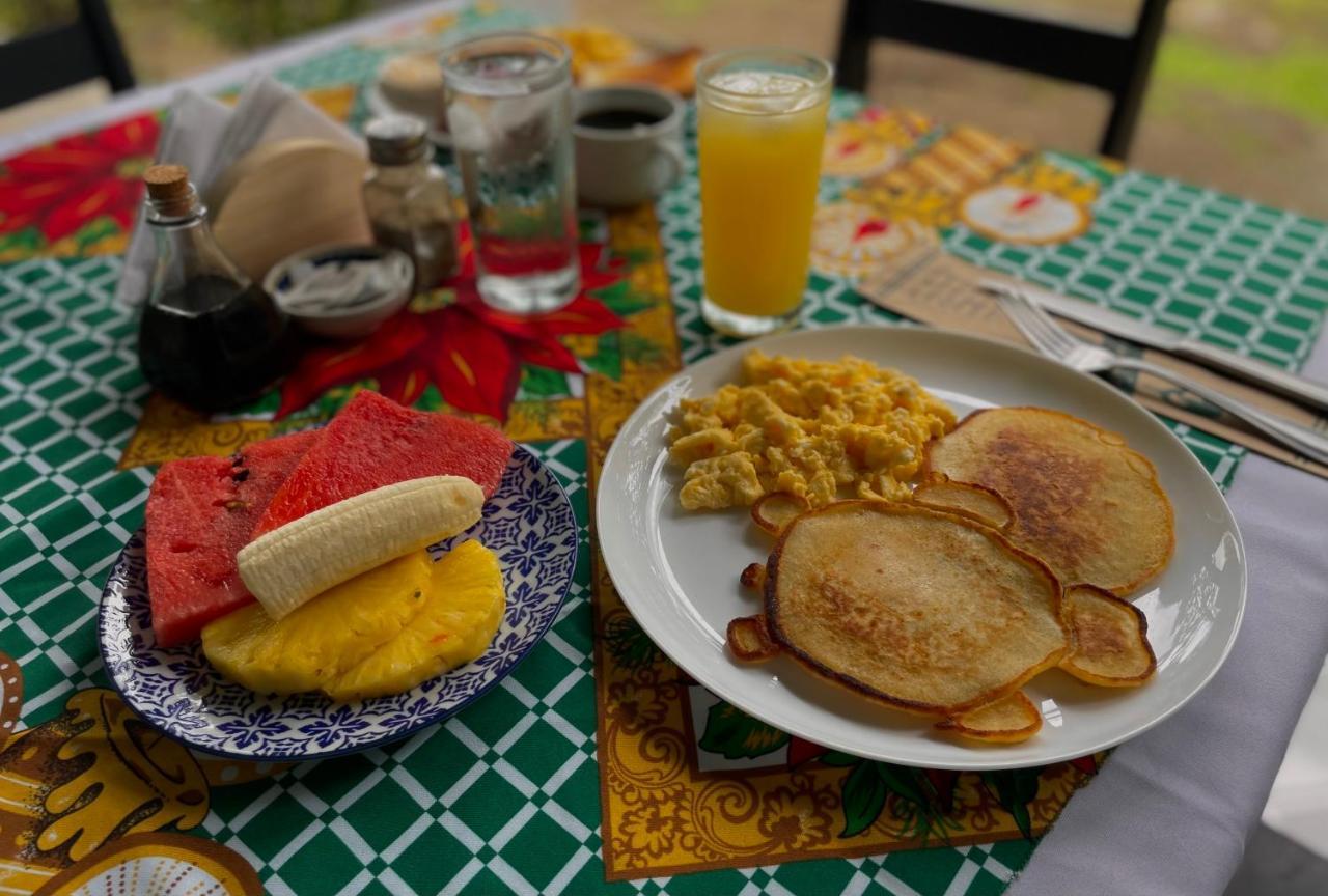 Los Amigos Jungle Hotel Tortuguero Kültér fotó