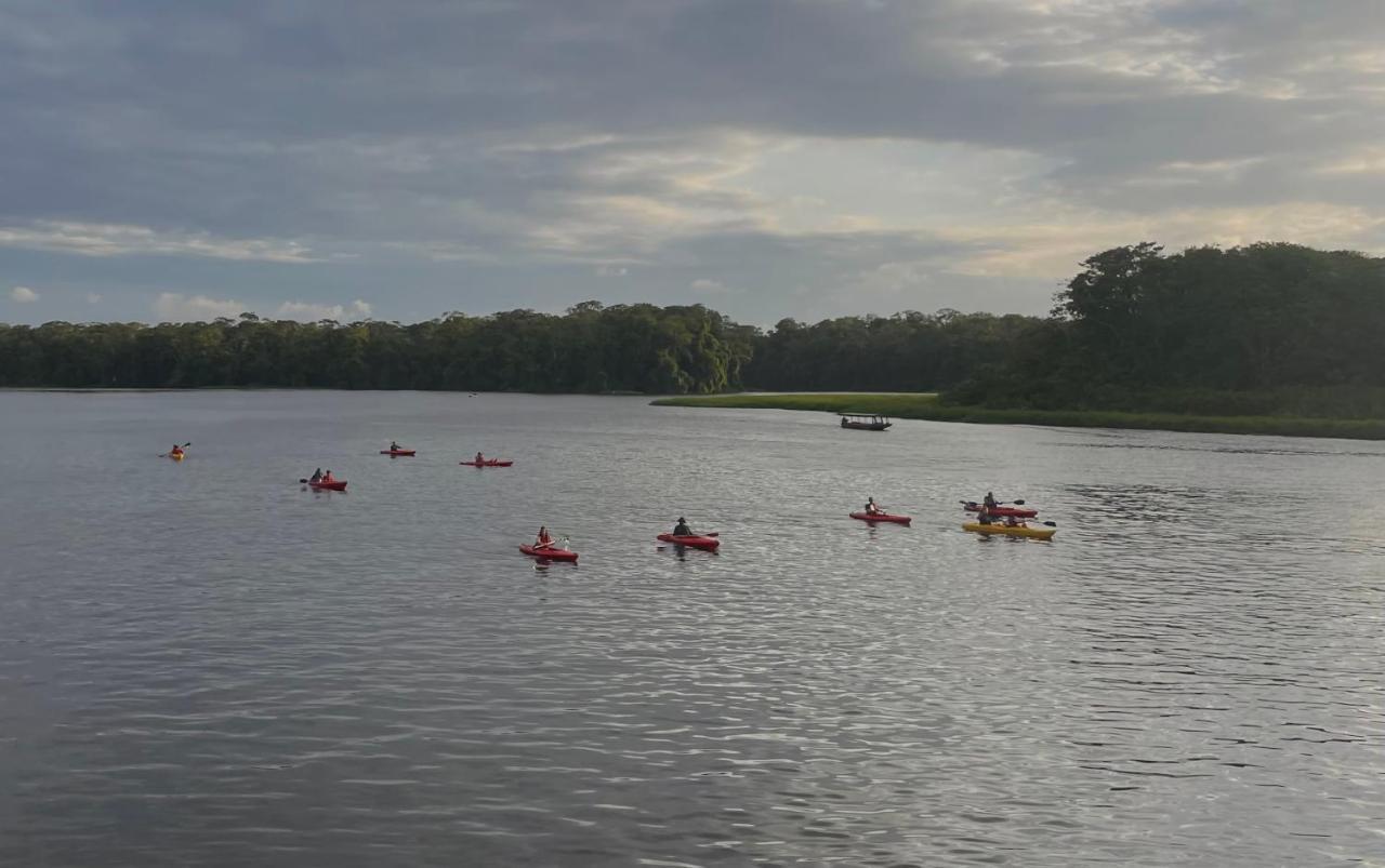 Los Amigos Jungle Hotel Tortuguero Kültér fotó