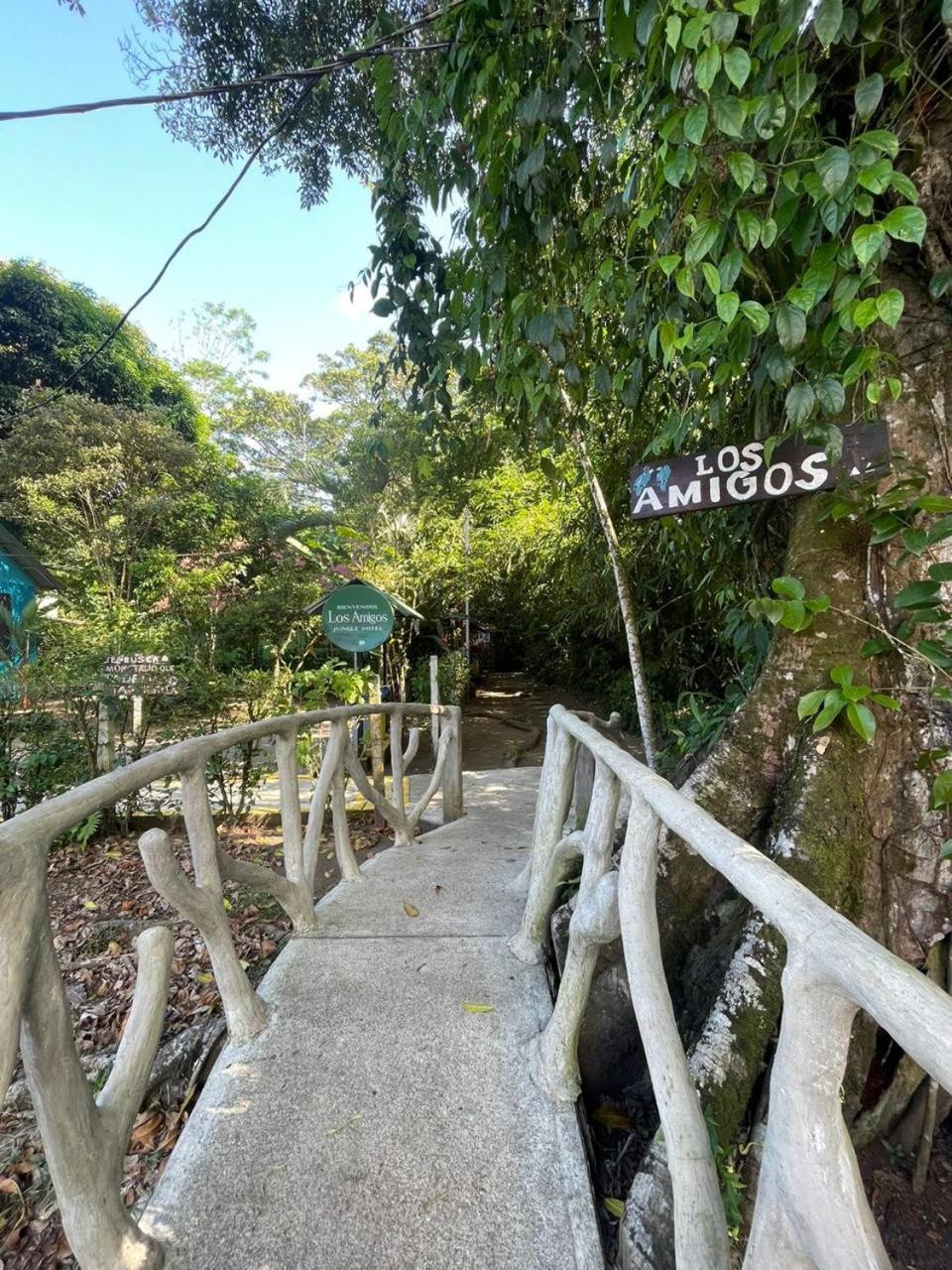 Los Amigos Jungle Hotel Tortuguero Kültér fotó